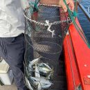 CU마산원전점 | 경남 창원(마산) 해상콘도 TOP5 소개!