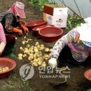 광활농업협동조합 이미지