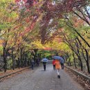 은비령산장 이미지