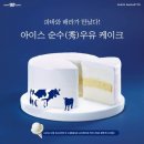 순수케이크