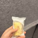 조준농장 | 2026년 3월 둘째 주 일상