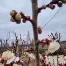 물오름달 이미지