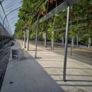 유동농장 이미지