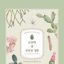 그림정원 이미지