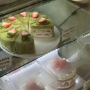 웰하우스 | [주말 맛집 탐방] 송리단길 카페 웰하우스 딸기케이크 맛집 재재재방문 후기