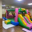 서초연꽃 이미지