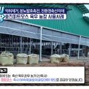 낙우농장 이미지