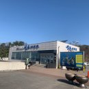 옹진해머금 이미지