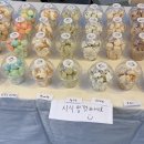 장미의거리6 이미지