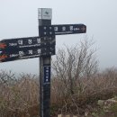 진달래휴게소