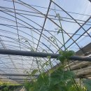 화수농장 이미지