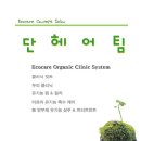단헤어팀