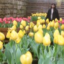 박지호농장 이미지