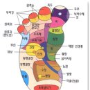 발이야기 이미지
