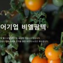(주) 비엘홀딩스 네이버블로그