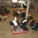 현인농장 이미지