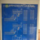 동백관 | 충남 보령 - 용두해수욕장 / 동백관 / 숲속야영장