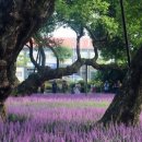 마음이머무는곳 이미지