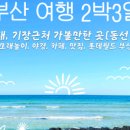 중앙동167 이미지