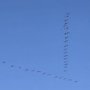 연천 숭의전지 이미지