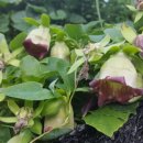 가을농장 이미지