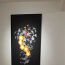 나우로데오 이미지