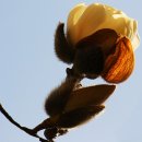 정평초등학교 이미지