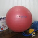 (완료)짐볼+바디슬라이더 = 만원 이미지