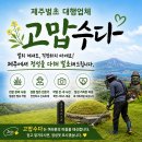 제주벌초