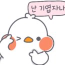 분당-337 이미지