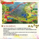 &#34;2025年 제153차 3月 16日 의성 금성산&amp;비로봉 산수유 산행&#34; 이미지