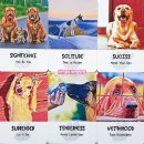 디바인독(DIVINE DOG) 네이버블로그