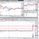 제일동물약품 이미지