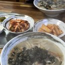 맛깔손 | 인제 칼국수 맛집 월학리 맛깔손 칼국수(feat. 닭칼국수 맛집)