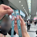 노대실로41번길R | 부산여행 모음 (일러스타페스, 국밥, 광안리, 포켓몬지하철)