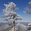 제39-13 지리산 천왕봉 눈꽃산행(1월19일) 이미지