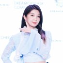 다미 이미지