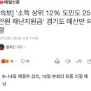 [속보] '소득 상위 12% 도민도 25만원 재난지원금' 경기도 예산안 의결 이미지