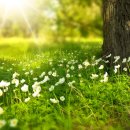 한세노인복지센터 이미지