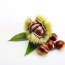 자세교정 필라테스 이미지