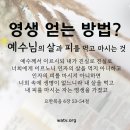 하나님의교회 유월절은 하나님의 인정받은 증거. 이미지