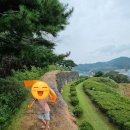 고창판소리박물관 | &lt;고창&gt; 여행 후기+일정 공유(고창읍성, 판소리박물관, 고창고인돌공원)가볼만한 곳 추천!