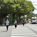 동구청 횡단보도 앞 이미지