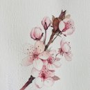 이튼치과 네이버블로그