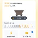 해 금 | 토스 금 모으기, 설명 없어서 직접 해본 플레이 후기