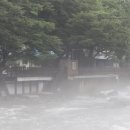 단양채훤민박 이미지