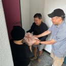 정릉74 이미지