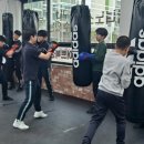 BMG 복싱 이미지