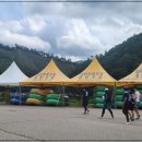 인제내린천 자작나무숲 겨울이네펜션 이미지