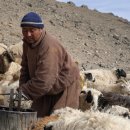 산들가축 이미지